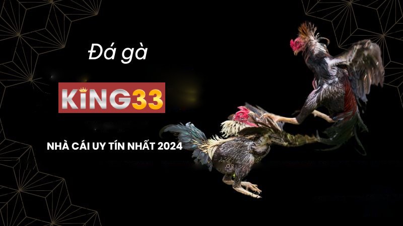 đá gà KING33