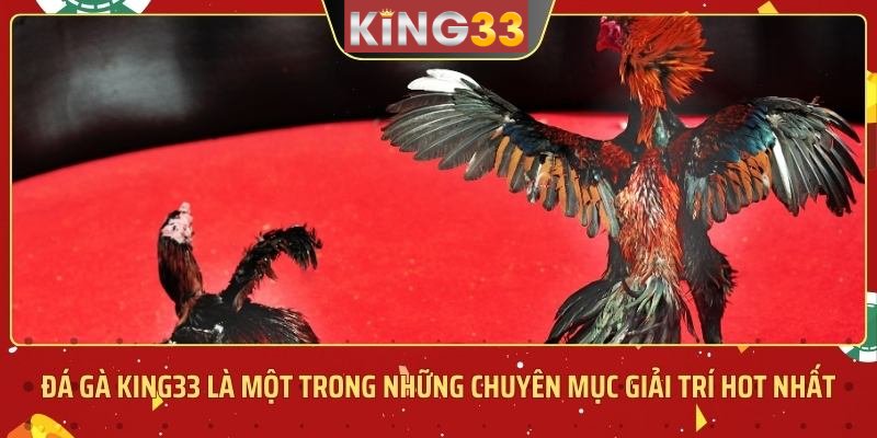 đá gà king33